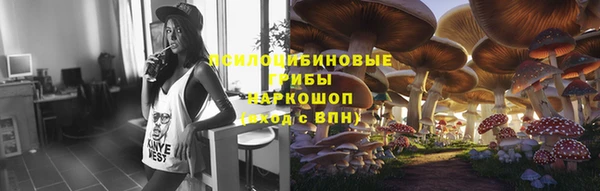 гидра Нефтекумск