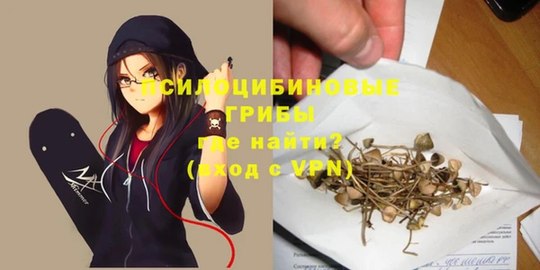 меф Нефтегорск