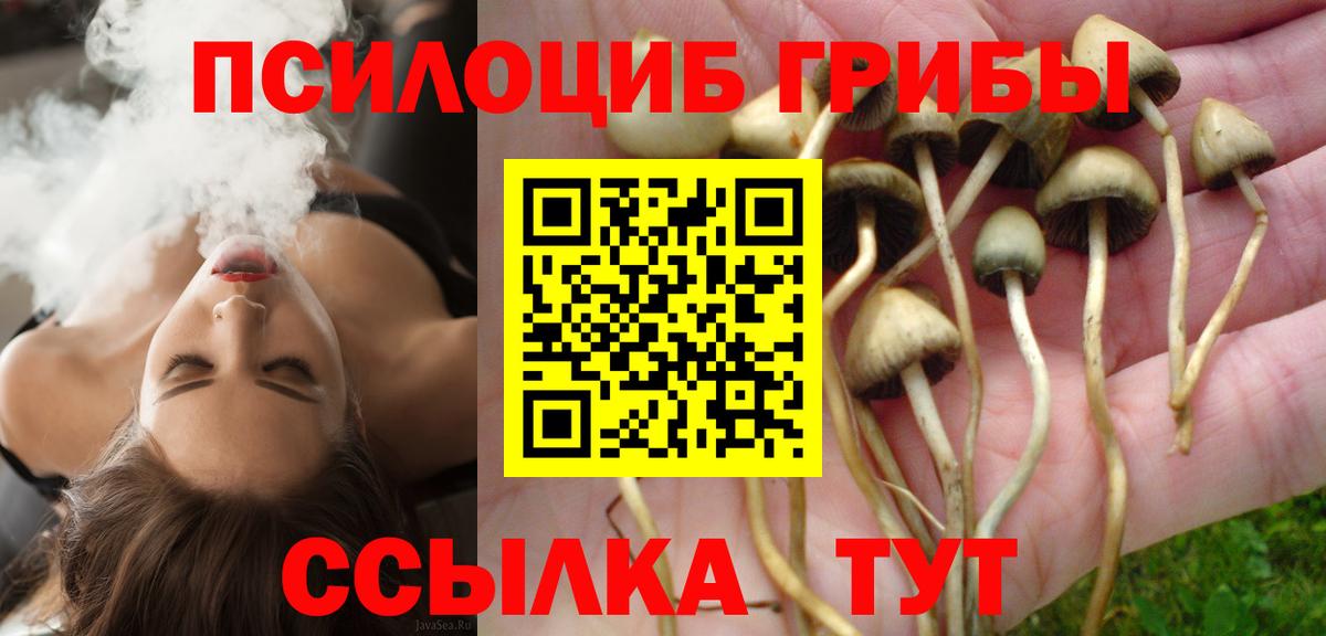 Ипатово  Псилоцибиновые грибы Psilocybine cubensis  Вход с VPN 
